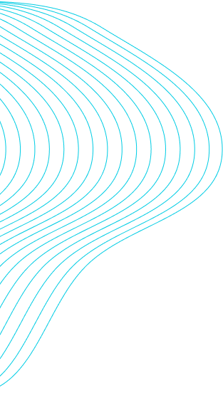 company-transparency-shape-1-1 company-transparency-shape-1-1